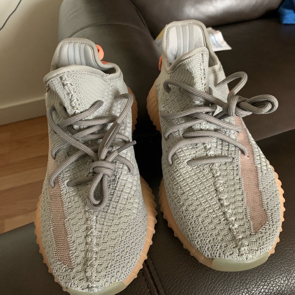 Yeezy 350 V2 True Form